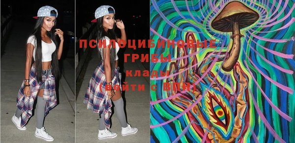 дживик Козельск