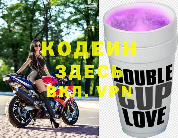 дживик Козельск