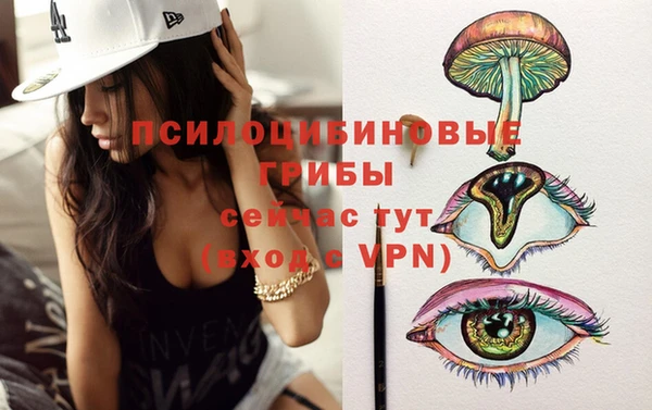 дживик Козельск