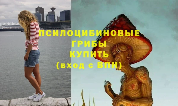 дживик Козельск