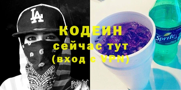 молекула духа Кодинск
