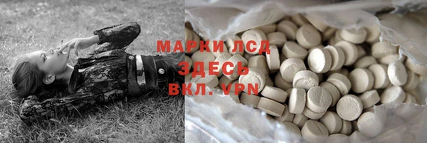 дживик Козельск