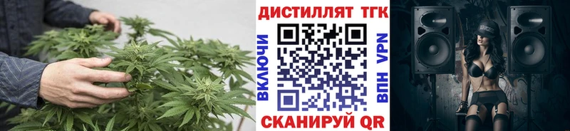 где найти Кондрово ТГК концентрат