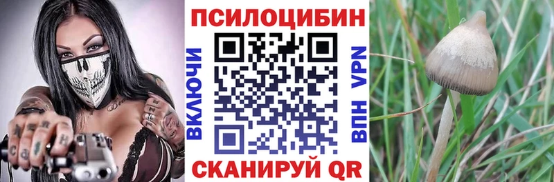 сколько стоит  Кондрово  Галлюциногенные грибы мухоморы 